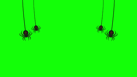 Halloween-Spinne-Hängeschleifenanimation-Halloween-Konzeptelement-Mit-Alphakanal